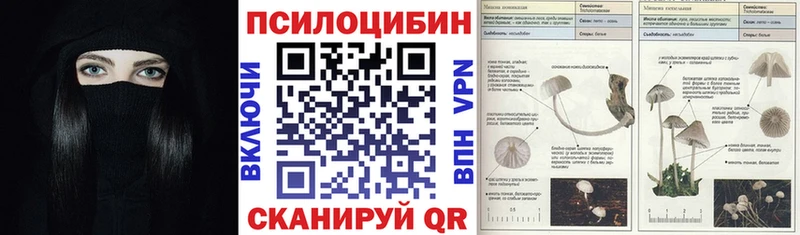 Псилоцибиновые грибы Psilocybine cubensis  Полтавская 